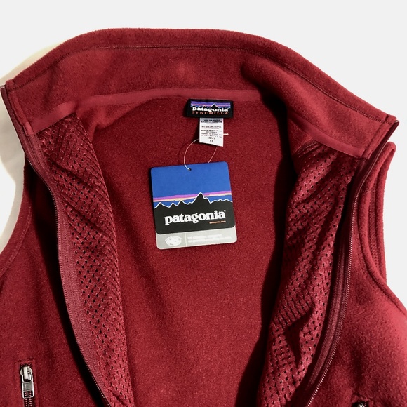 ✨Sm✨ NEW Patagonia Men's Synchilla® Vest - Picture 3 of 5